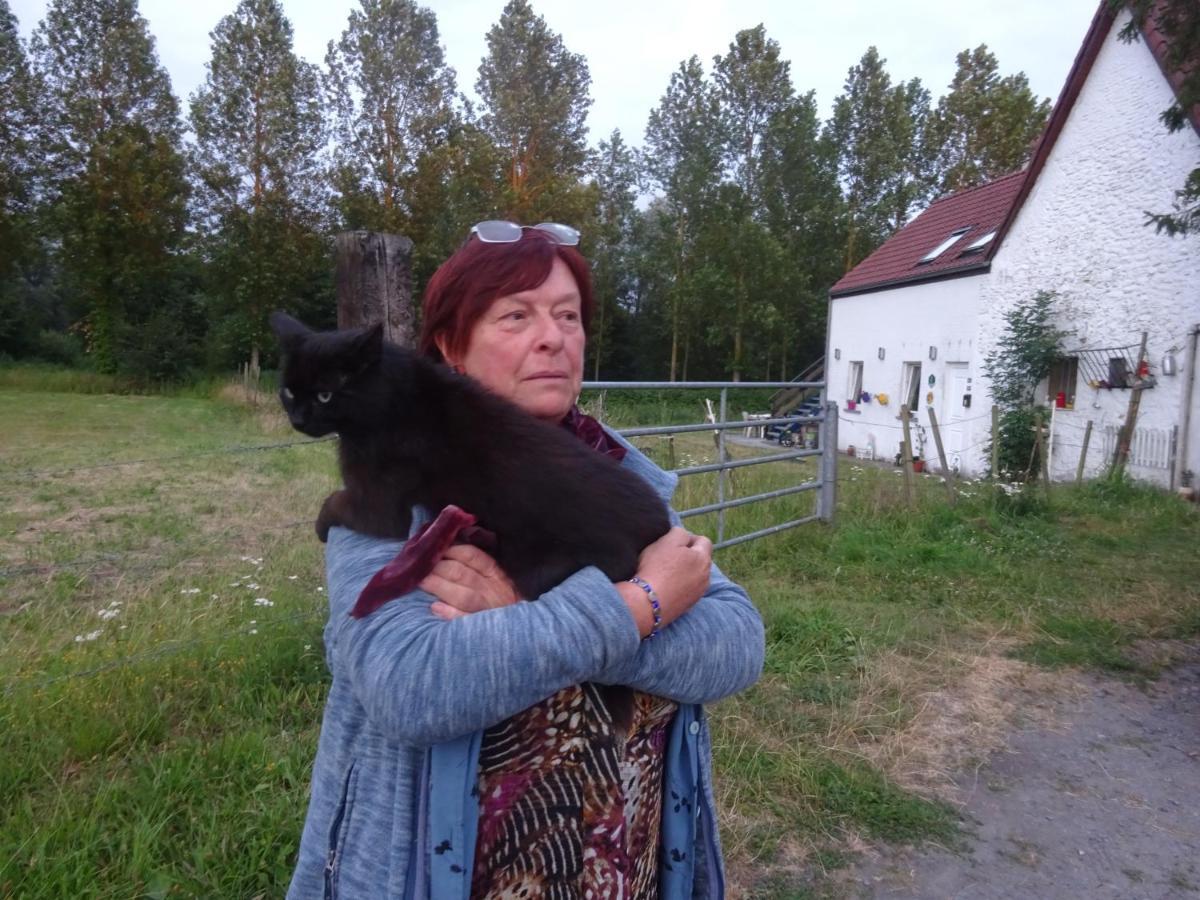 Ferme Lenfant Rez Daire Ville-Pommeroeul Dış mekan fotoğraf